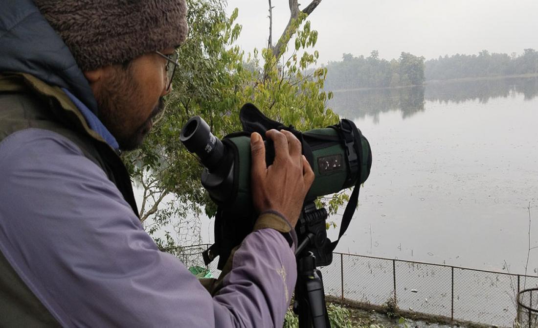 घोडाघोडी तालमा शनिबार बाईनाकुलरको माध्यमबाट जलपन्क्षी गणना गर्दै संरक्षणकर्मी । तस्बिर : चाँदनी आचार्य