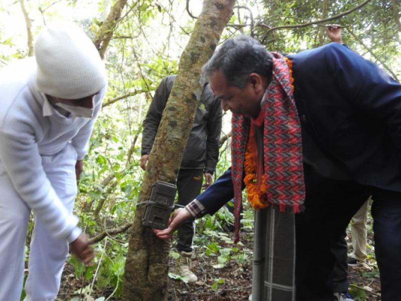 कञ्चनपुरको शुक्लाफाँटा राष्ट्रिय निकुञ्जमा बाघ गणना, शनिबार वन तथा वातावरण मन्त्री रामसहाय प्रसाद यादवले स्वचालित क्यामेराको ‘स्वीच अन’ गरेर उद्धघाटन गर्दै । 